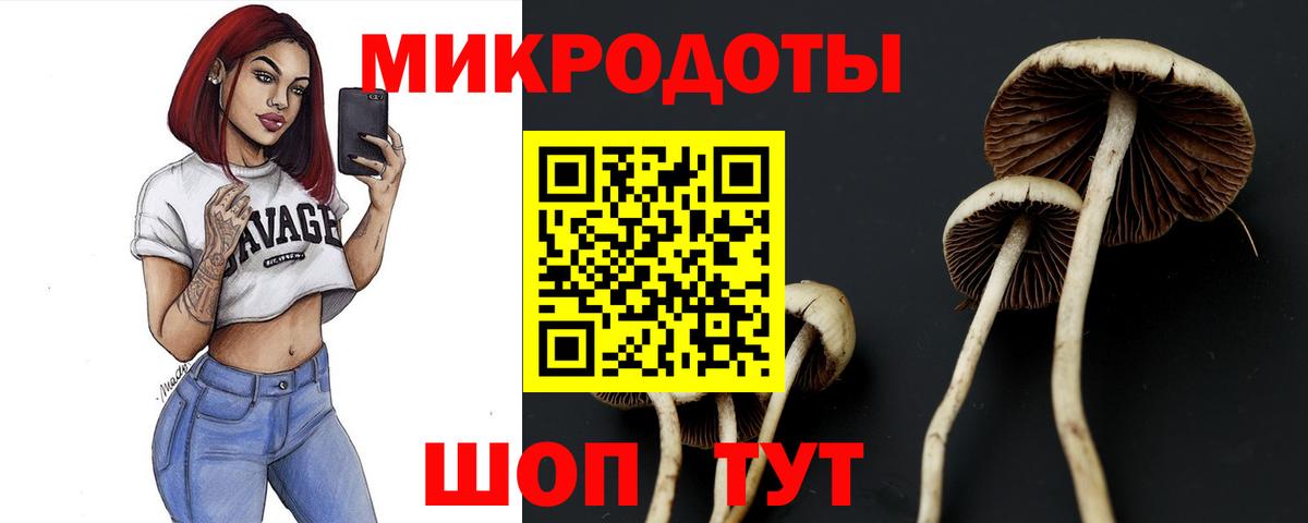 Псилоцибиновые грибы мицелий  Псилоцибиновые грибы Magic Shrooms  Вход с VPN  Красногорск 